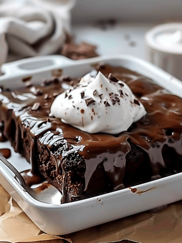 Hot Fudge Chocolate Pudding Cake