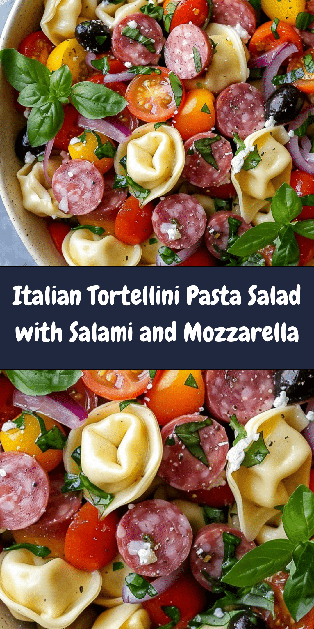 Italian Tortellini Pasta Salad with Salami and Mozzarella | Cheryl's ...