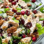 Cranberry Pecan Chicken Salad with Poppy Seed Dressing