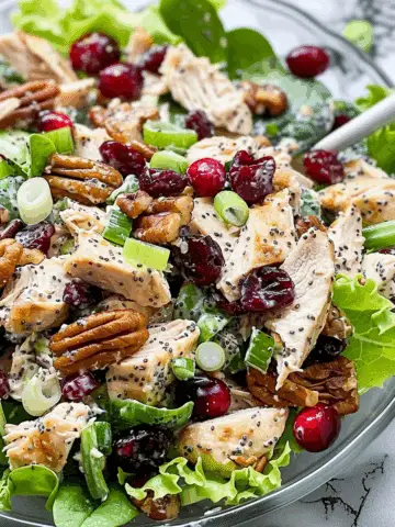 Cranberry Pecan Chicken Salad with Poppy Seed Dressing