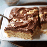 Peanut Butter Chocolate Cake