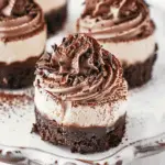 Triple Chocolate Cheesecakes