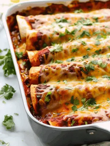 Shredded Beef Enchiladas