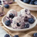 No-Bake Blueberry Cheesecake Protein Bites