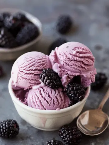 Blackberry Bliss Ninja Creami Ice Cream