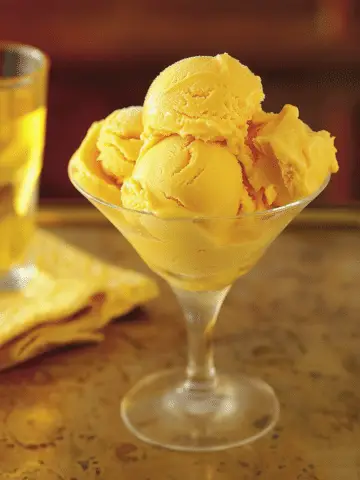 Mango Frozen Yogurt